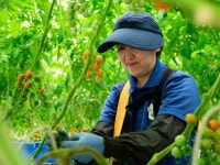 株式会社たねまき常総(ソフトバンクグループ)のアルバイト・バイト求人情報｜【タウンワーク】でバイトやパートのお仕事探し