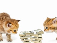 (株)ヒューマンアイ狭山営業所　「Ｄ00345」のアルバイト・バイト求人情報｜【タウンワーク】でバイトやパートのお仕事探し... 