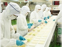 山崎製パングループ　サンデリカ　北陸事業所のアルバイト・バイト求人情報｜【タウンワーク】でバイトやパートのお仕事探し... 