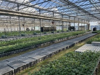 大塚育苗園のアルバイト・バイト求人情報｜【タウンワーク】でバイトやパートのお仕事探し 3月迄の短期も可能... 