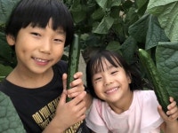 さかもと農園のアルバイト・バイト求人情報｜【タウンワーク】でバイトやパートのお仕事探し