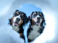 新成梱包株式会社　「017」のアルバイト・バイト求人情報｜【タウンワーク】でバイトやパートのお仕事探し ■■期間限定！■■3/6... 