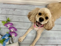 株式会社クオリティーのアルバイト・バイト求人情報｜【タウンワーク】でバイトやパートのお仕事探し