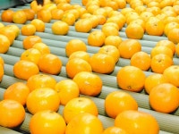 フルーティな香りに囲まれて働こう♪☆10/1～11/31の2か月短期!!未経験歓迎!!20代～60代の男性活躍中!!希望休99％ok!!