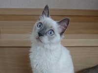 株式会社クオリティーのアルバイト・バイト求人情報｜【タウンワーク】でバイトやパートのお仕事探し