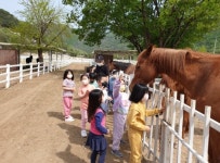 연천 상리초등학교, 행복 승마교실 운영