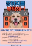 수원시 팔달구, 취약가구에 반려동물 돌봄서비스 비용 지원