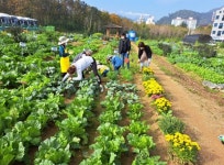 용인특례시, 시민농장에서 텃밭 가꿀 도시농부 794팀 모집