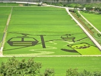 국민고향정선 대표 캐릭터 ‘와와군’, 관광지마다 개성넘치는 모습 뽐내