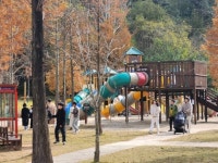 담양군, 30일부터 어린이프로방스 무료 개방