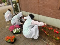 광명시 철산2동, 연서경로당 주변 꽃단장\