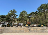 인천광역시교육청학생교육원, 국화리 패밀리 팜 스테이 참가 가족 모집:경인투데이뉴스 ≪경인투데이뉴스≫ 인천광역시교육청학생교육원... 