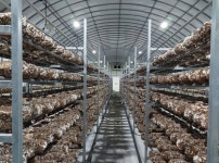 인천관광공사, 옹진군 덕적도 북1리 행정안전부 섬 특성화사업 국비 30억 확보