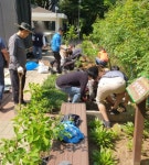 수원시 영통구 영통1동 청명주공4단지 경로당, 새봄맞이 손바닥정원 정비