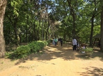고양시, 일산서구 성저공원 산책로 등 정비 시행