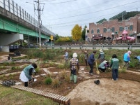 시흥시 신현동 마을정원봉사단, 꽃향기 가득한 정원 조성 봉사 힘써