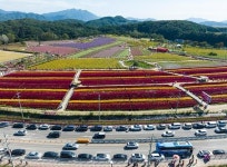 철원군 2024년 철원 고석정 꽃밭 성료