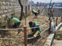 꽃향기 가득한 시흥시 신현동, 주민 손으로 수국정원 조성:경인투데이뉴스 ≪경인투데이뉴스≫ 꽃향기 가득한 시흥시 신현동, 주민 손으로... 