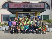 강릉시, 봄 정취 가득한 ‘살기 좋은 내곡동’ 만들기