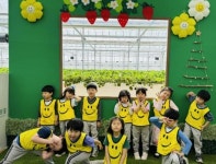 이천남초병설유치원, 딸기 수확 교외체험학습 실시:경인투데이뉴스 ≪경인투데이뉴스≫ 이천남초병설유치원, 딸기 수확 교외체험학습 실시