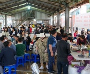 고성군 저도 대문어축제에 발 디딜 틈 없었다...먹거리+즐길거리로 대박... 고성군 저도 대문어축제에 발 디딜 틈 없었다...먹거리+즐길거리로 대박