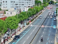 부산 남구, 은행나무 테마전정‘동그라미, 네모’가로수 정비사업 추진:경인투데이뉴스 ≪경인투데이뉴스≫ 부산 남구, 은행나무 테마전정... 
