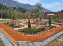 부산진구, 백양산 두 번째 맨발숲길 조성