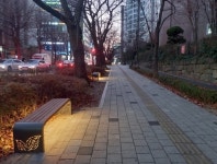 남동구, 구월남로 벚꽃길 새 단장…일상 속 쉼터로 탈바꿈