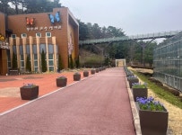 예산군, 봉수산자연휴양림·수목원 새봄맞이 봄꽃 식재