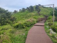 고흥군, 천등산 철쭉공원 어린이날 전후 ‘분홍빛 절정’ 전망