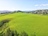 Waitotara Rural properties | Trade Me Property