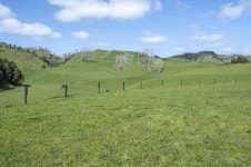 Te Kuiti Rural properties | Trade Me Property
