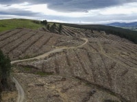 310 Gerrard Road, Dipton, Southland, Southland