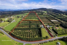 1622/1624 State Hwy 14, Maungatapere, Whangarei, Northland