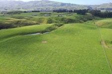 988 Spur Road, Ashhurst, Palmerston North, Manawatu / Whanganui