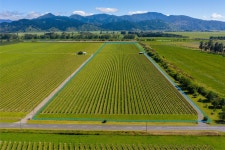 263 Chaytors Road, Spring Creek, Marlborough, Marlborough