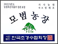대형홍피반송(40~60년생) : 트리디비