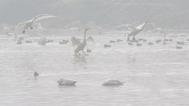 테마 - 12