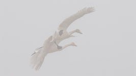 테마 - 4