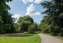 식물원 - 숲길 2