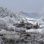 천안 별장펜션 | 인터파크 투어