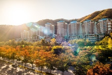 소노펠리체 비발디파크 | 인터파크 투어