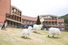 평창 라마다호텔&스위트 바이 윈덤 | 인터파크 투어