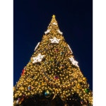 チケット あいり様専用の通販 みなくまs shop｜ラクマ by あいり