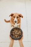 Sundays Might Be The Magic Spoon Of Dog Food | Dieline - Design, Branding & Packaging Inspiration Sundays Might Be The Magic... 