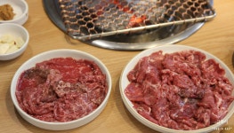 금목서 광양불고기