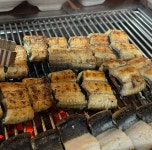 고창선운산풍천장어