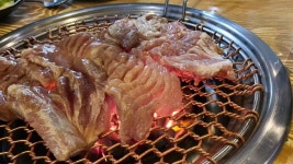 계수가든