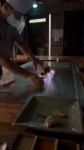 히바치(HIBACHI)