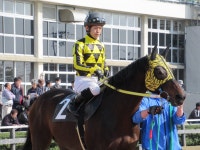 콰이트파인 현역시절 구무원 인터뷰 - 우마무스메 마이너 갤러리